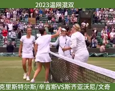 关于尼斯主场战胜南锡，保持主场优势的信息